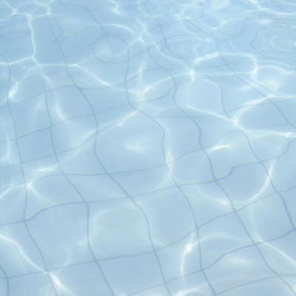 Meet your Posher, Bri - Picture 1 of 1